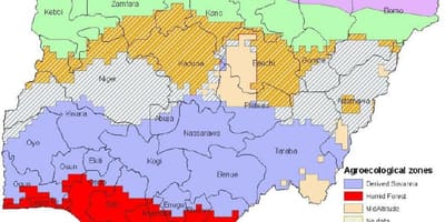 Döntetlen a térkép nigéria mutatja, hogy a növényzet zónák