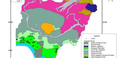 Térkép nigéria mutatja növényzet